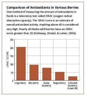 ANTIOXIDANTS-in berries
