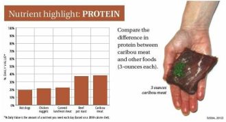 CARIBOU-nutrient highlight protein