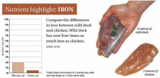 DUCK- nutrient highlight iron
