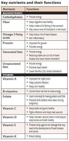 Key nutrients and their functions