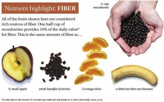 MOSSBERRIES-nutrient highlight fiber