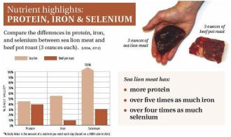 SEA LION-nutrient highlight protein iron selenium