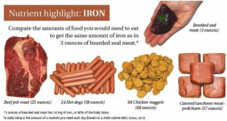 SEAL-nutrient highlight iron